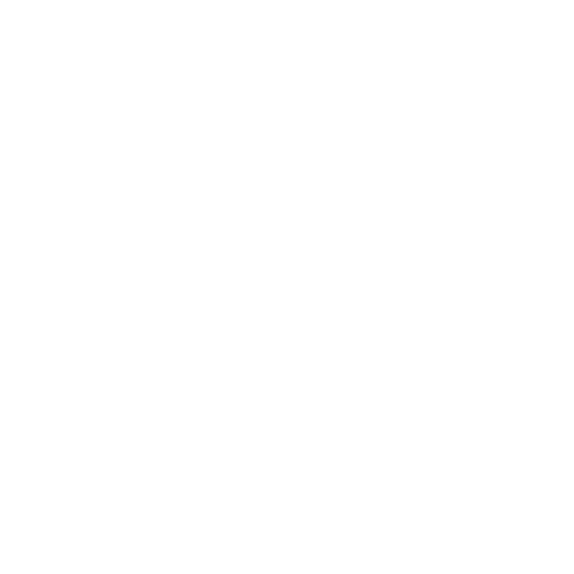 kingzprofootwear